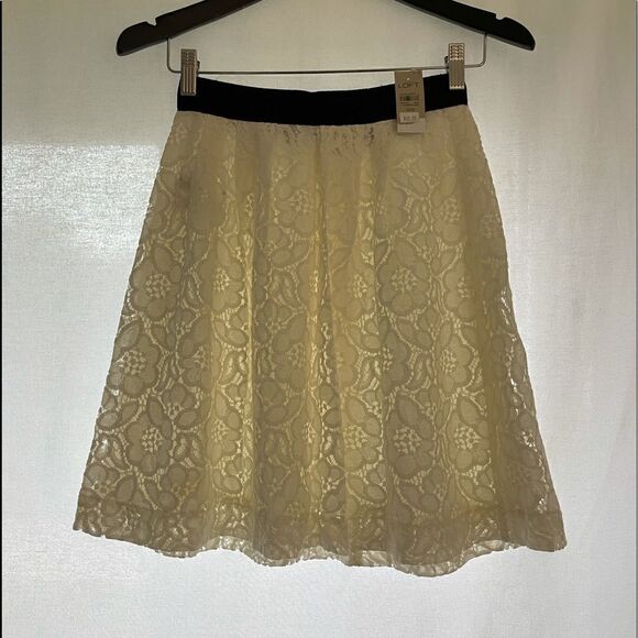 Loft lace skirt - Picture 8 of 14